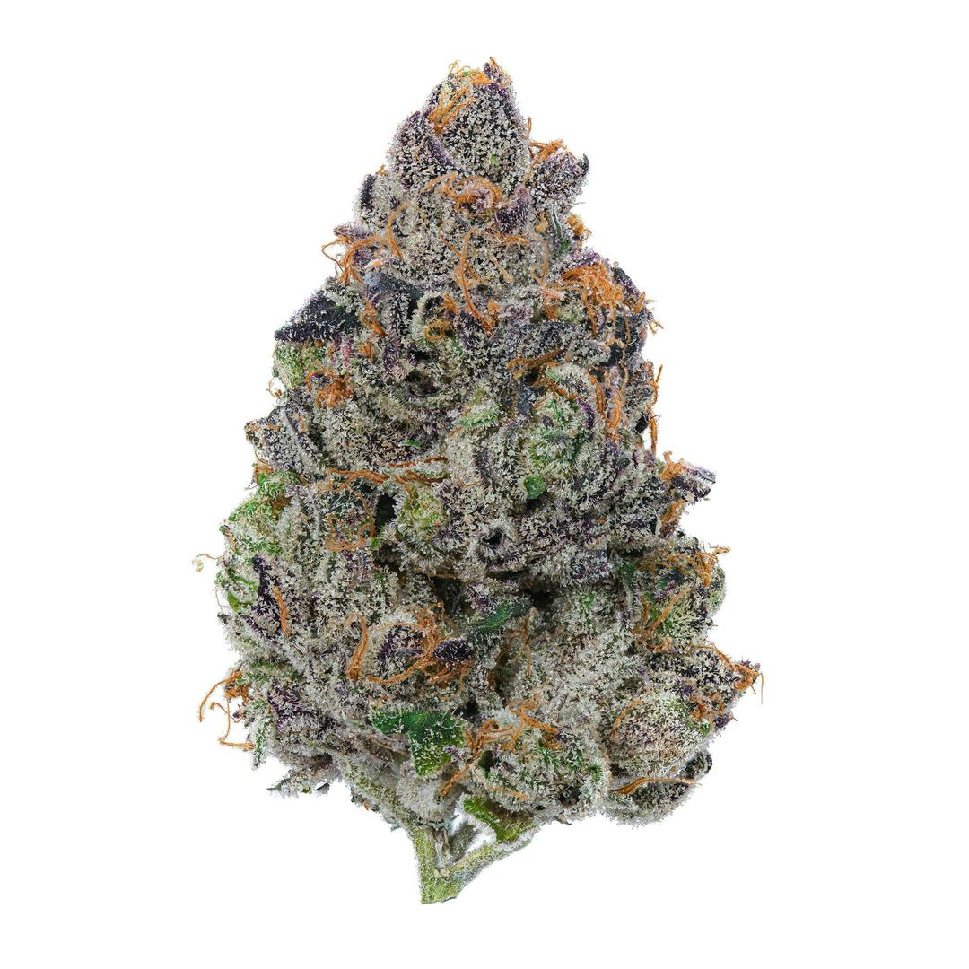 Purple Nurple Flower