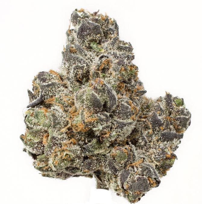 Apple Fritter
