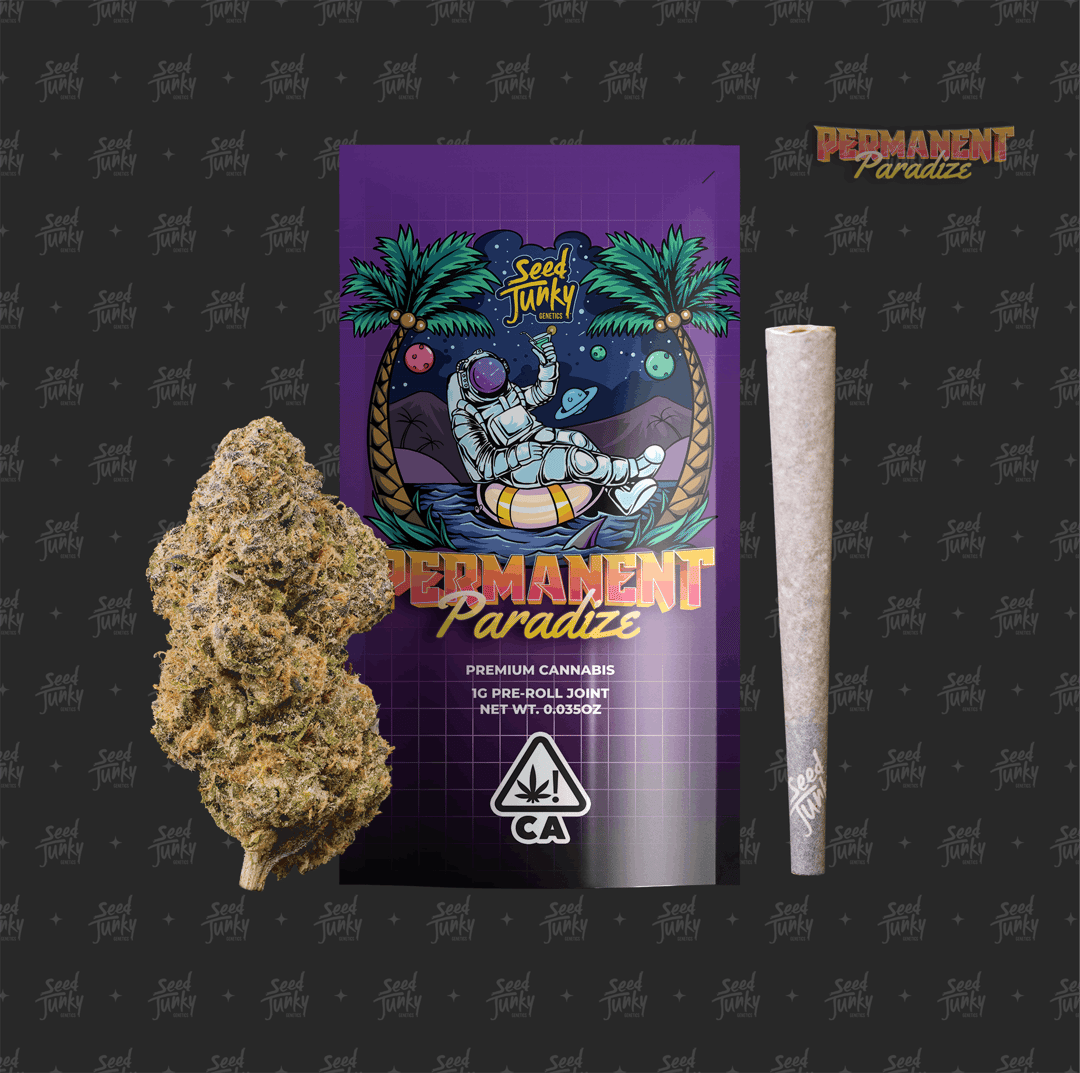 PERMANENT PARADIZE - (1G Pre-Roll)