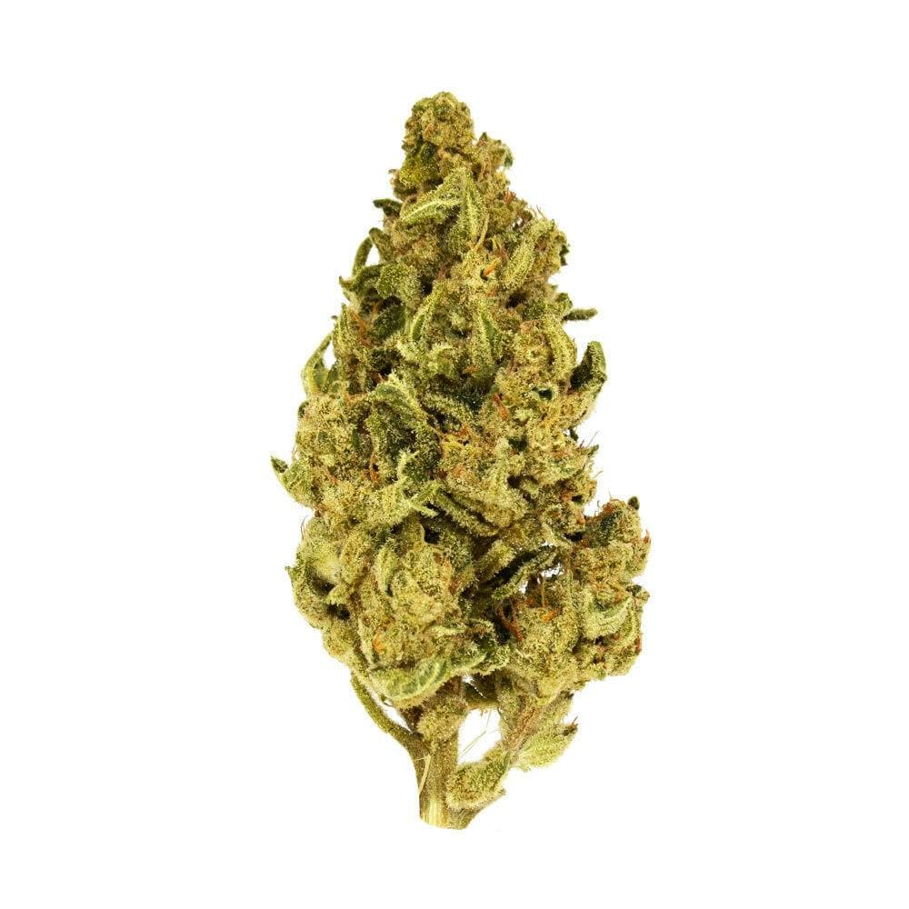 Exclusive | Candy Kush (S) | 28g