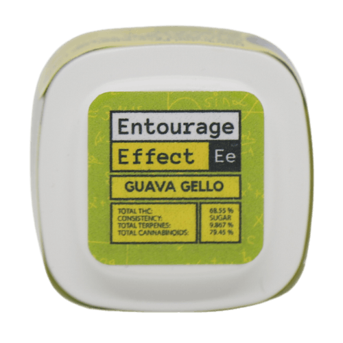 Guava Jello - 1g Jar - THC Concentrate