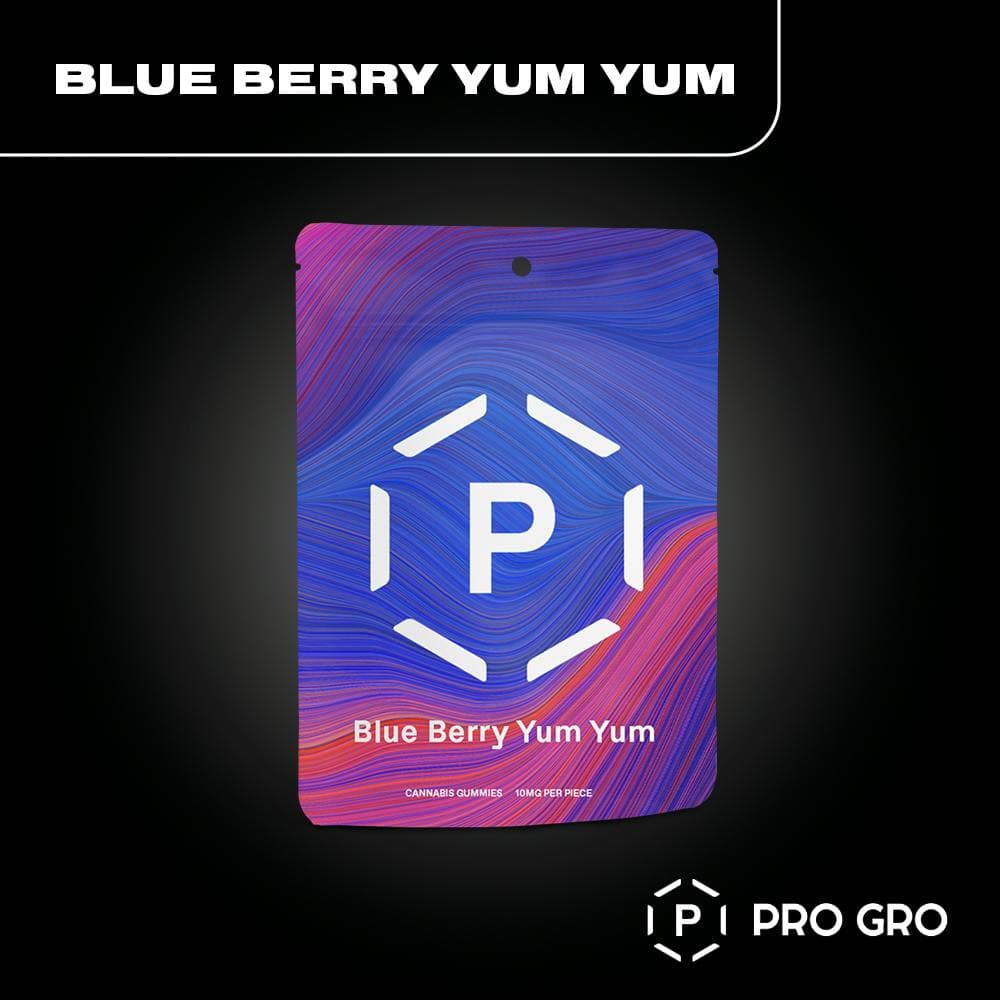 Blueberry Yum Yum Gummies | 200mg