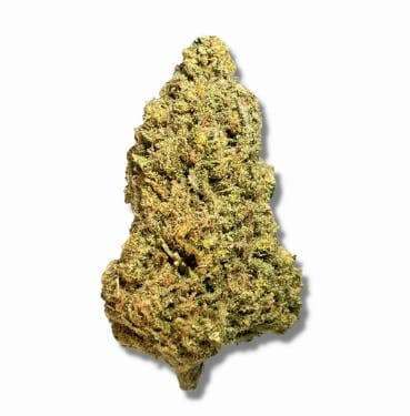 Black - Alaskan Ice (S) - 14g