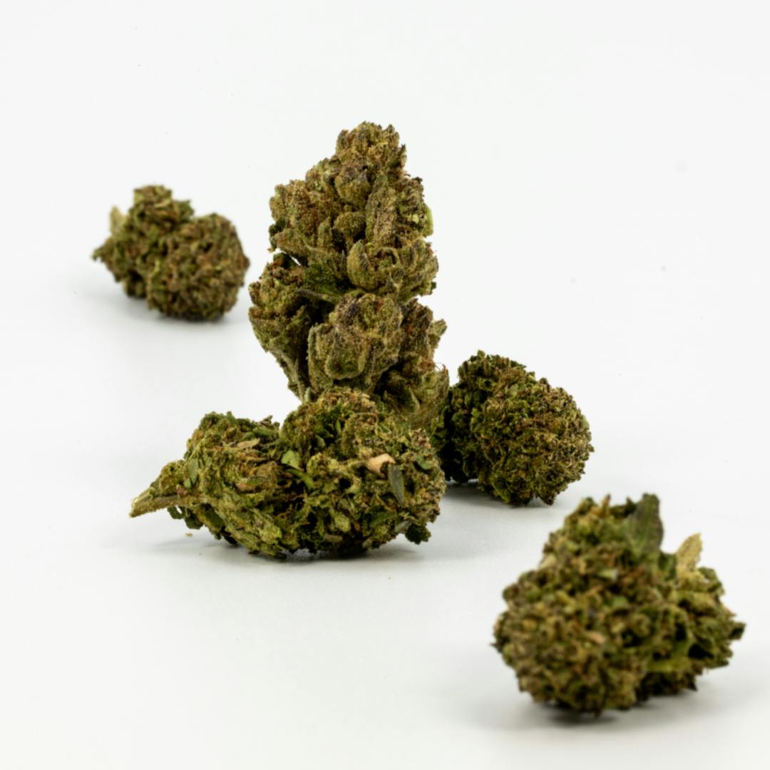 GOLDEN GOAT