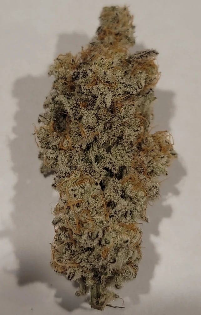 Graham Cracker Flower [28g]