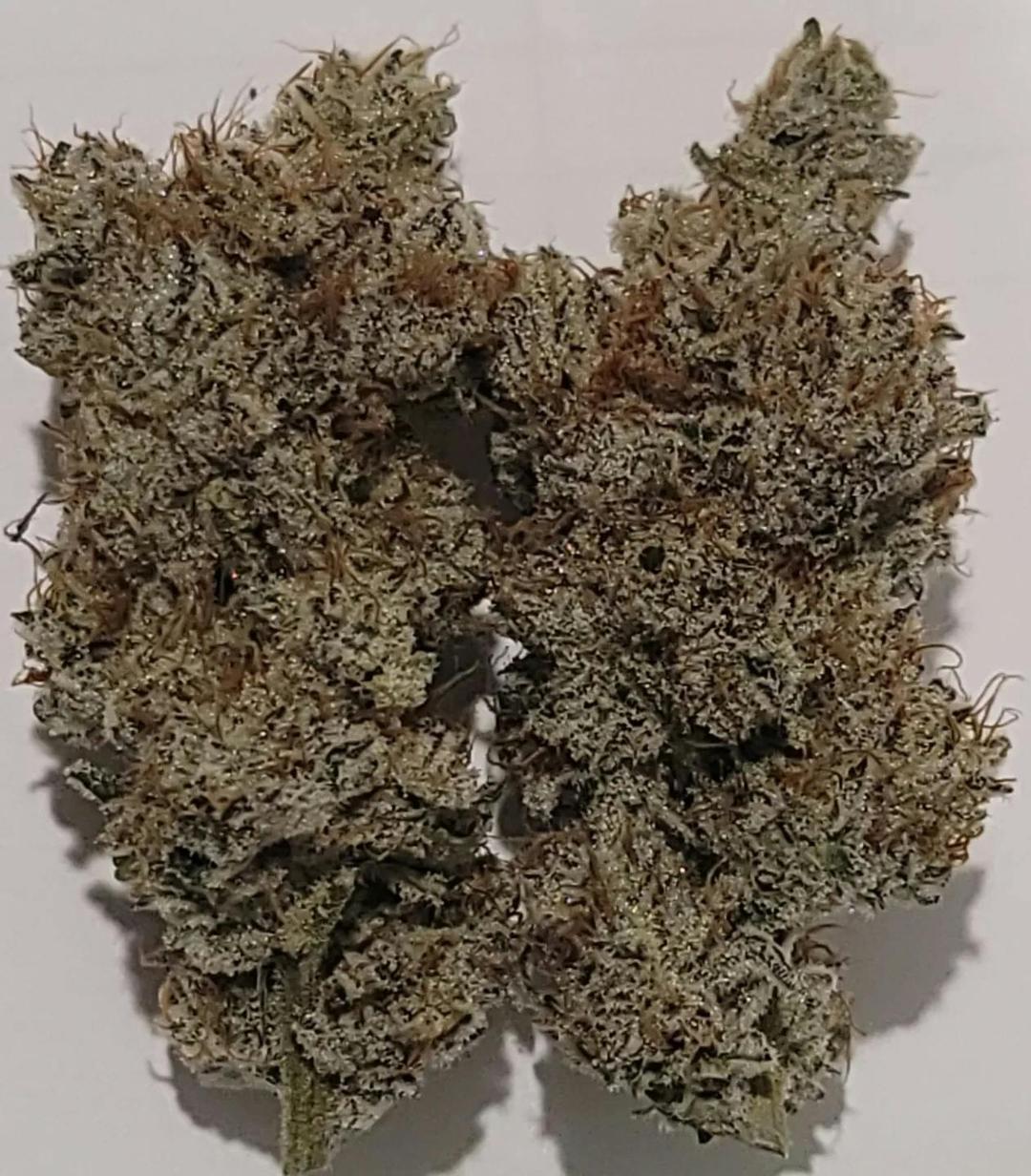 Garlic Juice Flower [84g]