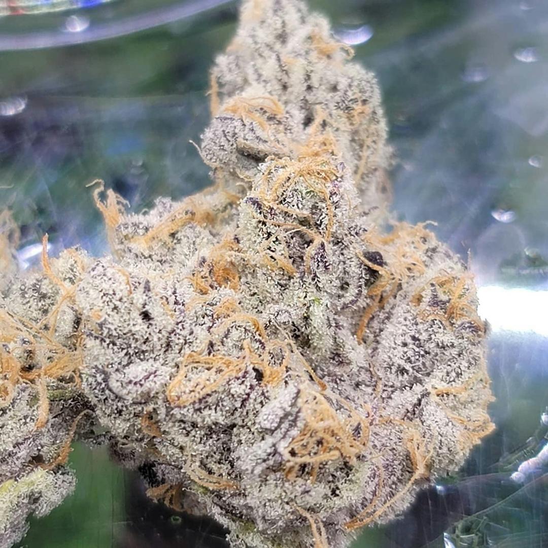 Daily Grape Flower [84g]