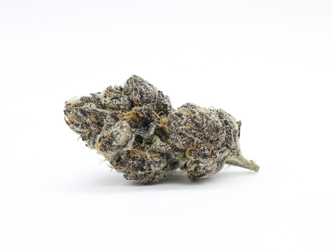 Lemon Cherry Gelato Flower