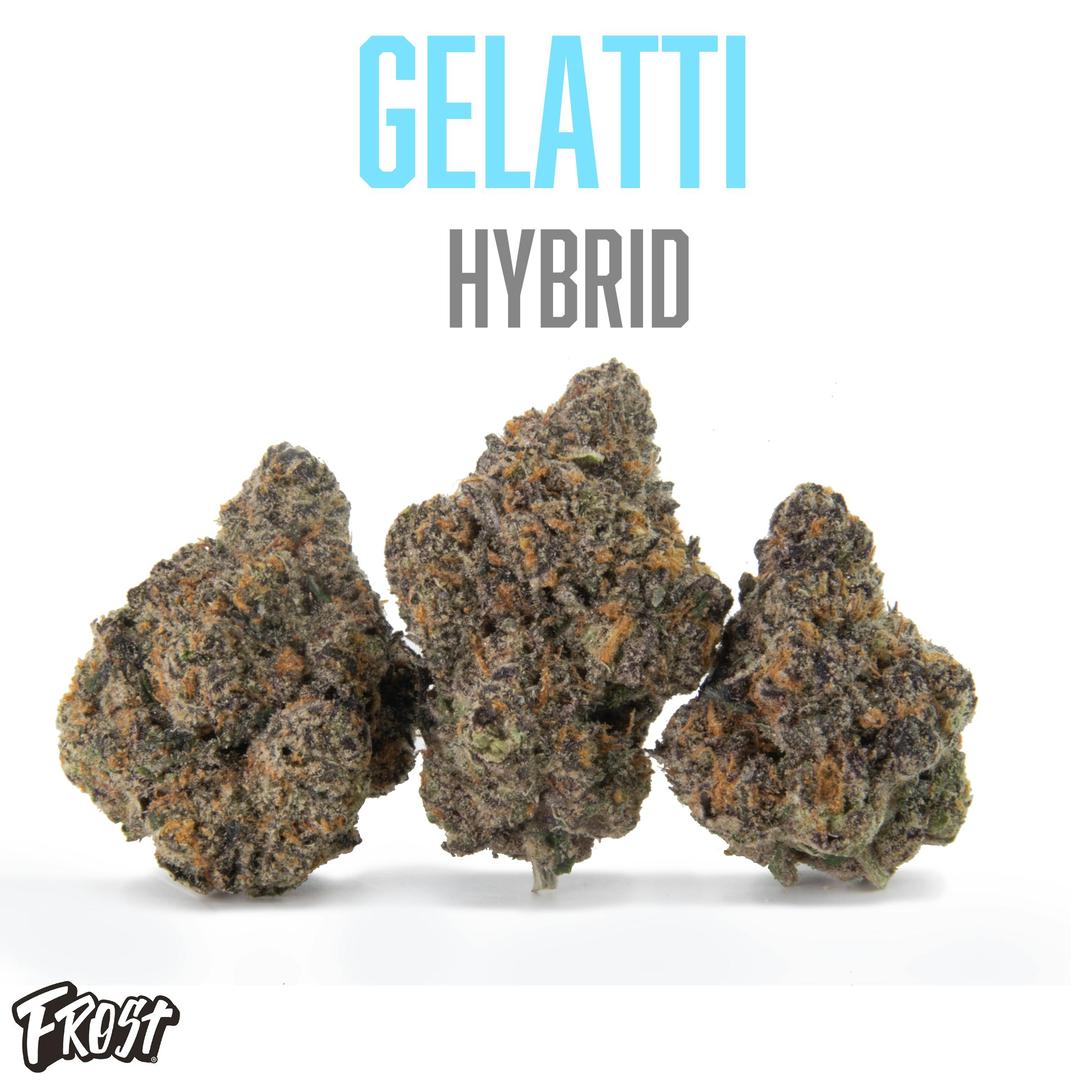 Gelatti 3.5g (Hybrid)