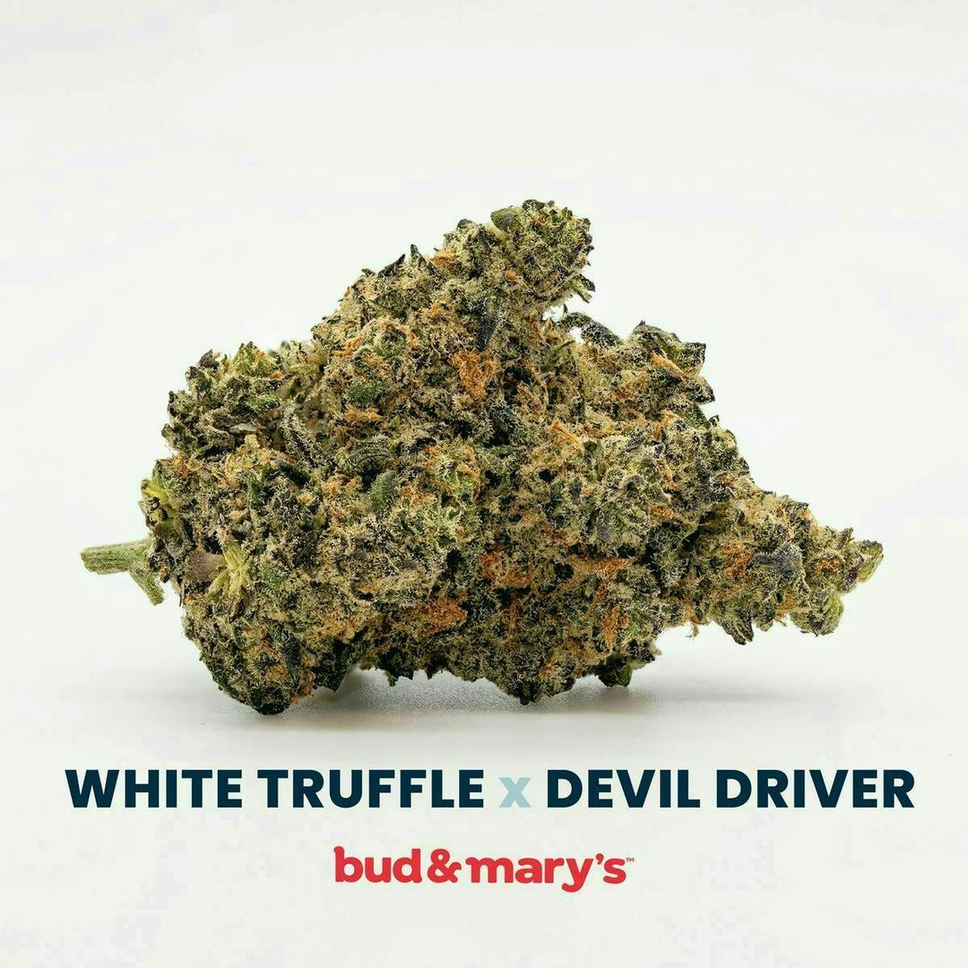 White Truffle x Devil Driver - 14g