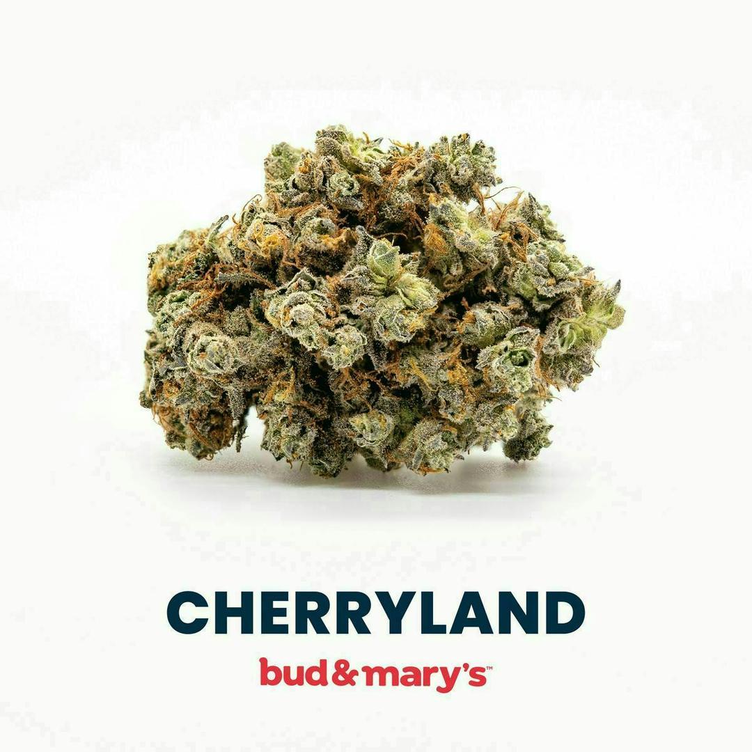 Cherryland - 14g