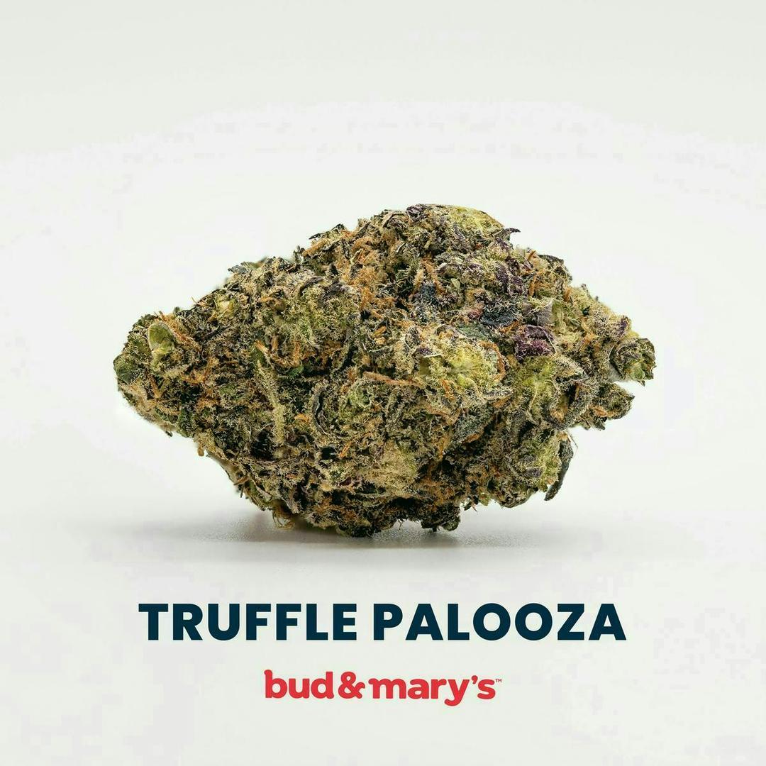 Truffle Palooza - 14g