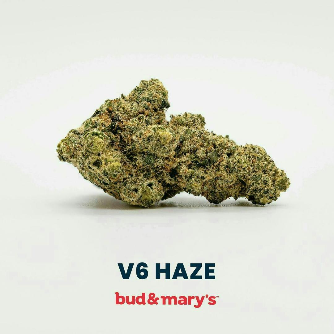 V6 Haze - 3.5g