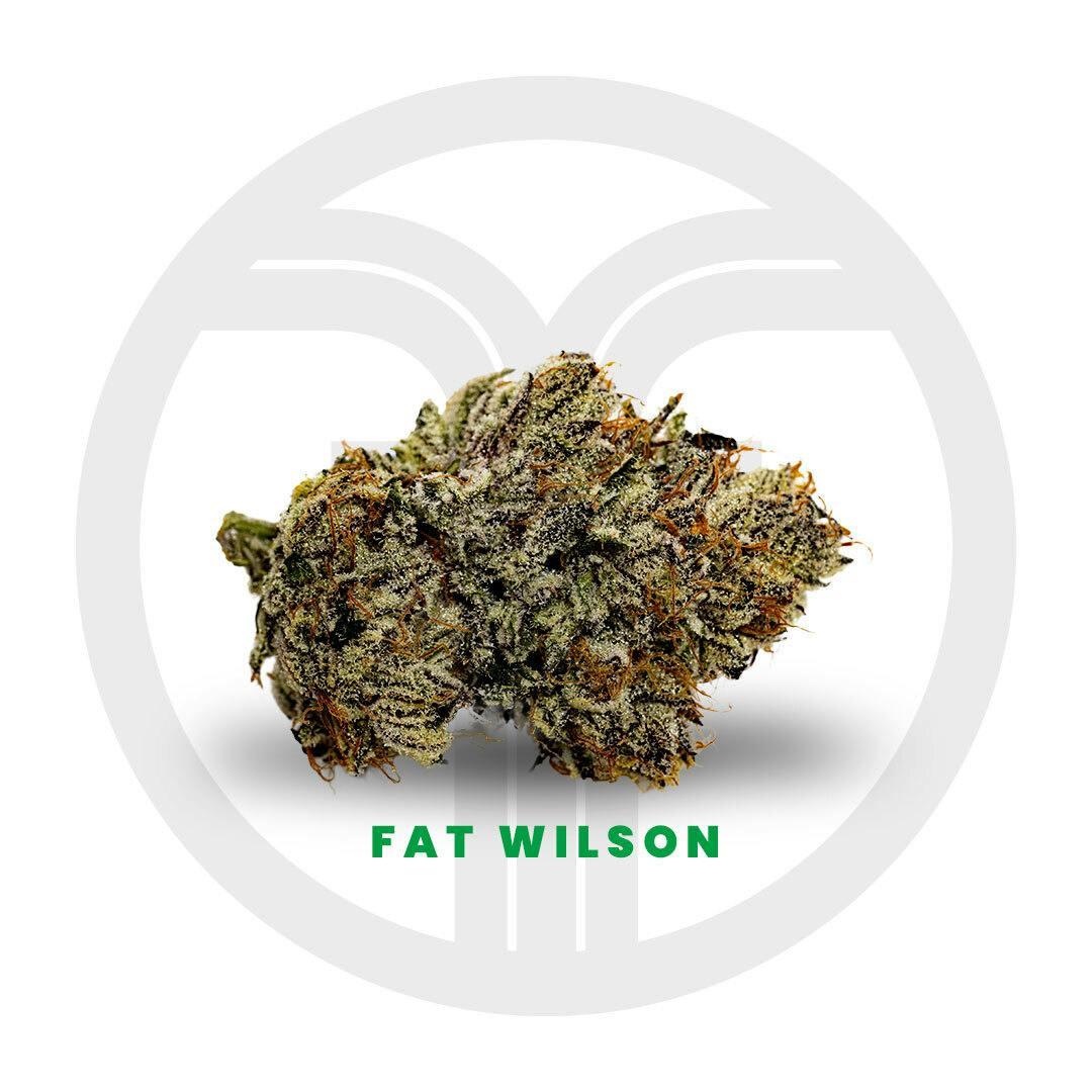 Fat Wilson