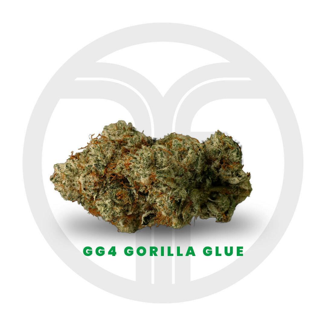 Gorilla Glue GG4