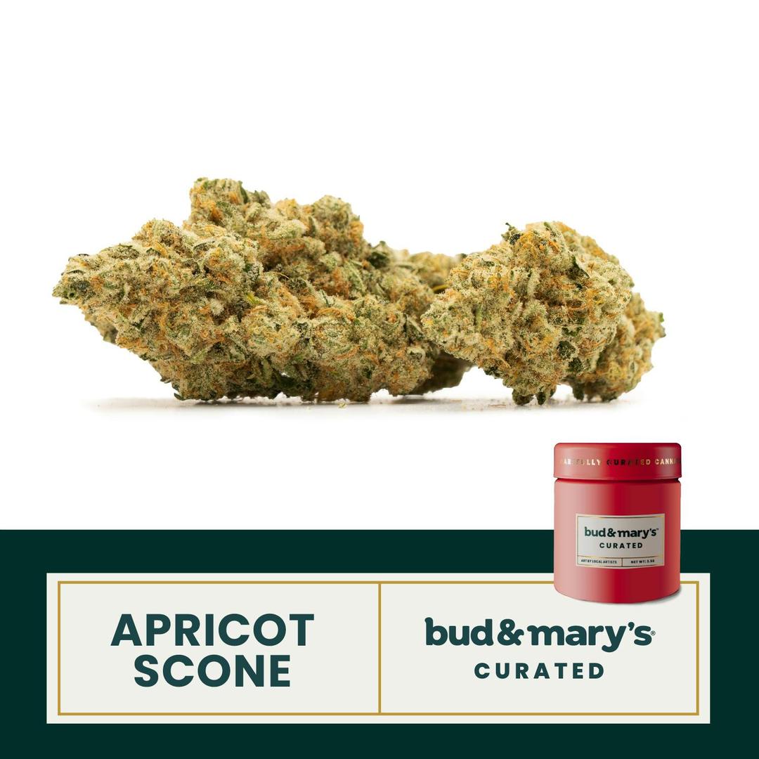 Curated - Apricot Scone