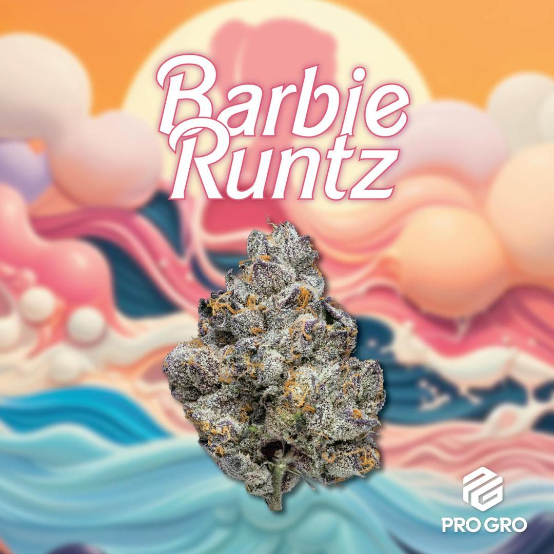 Barbie Runtz