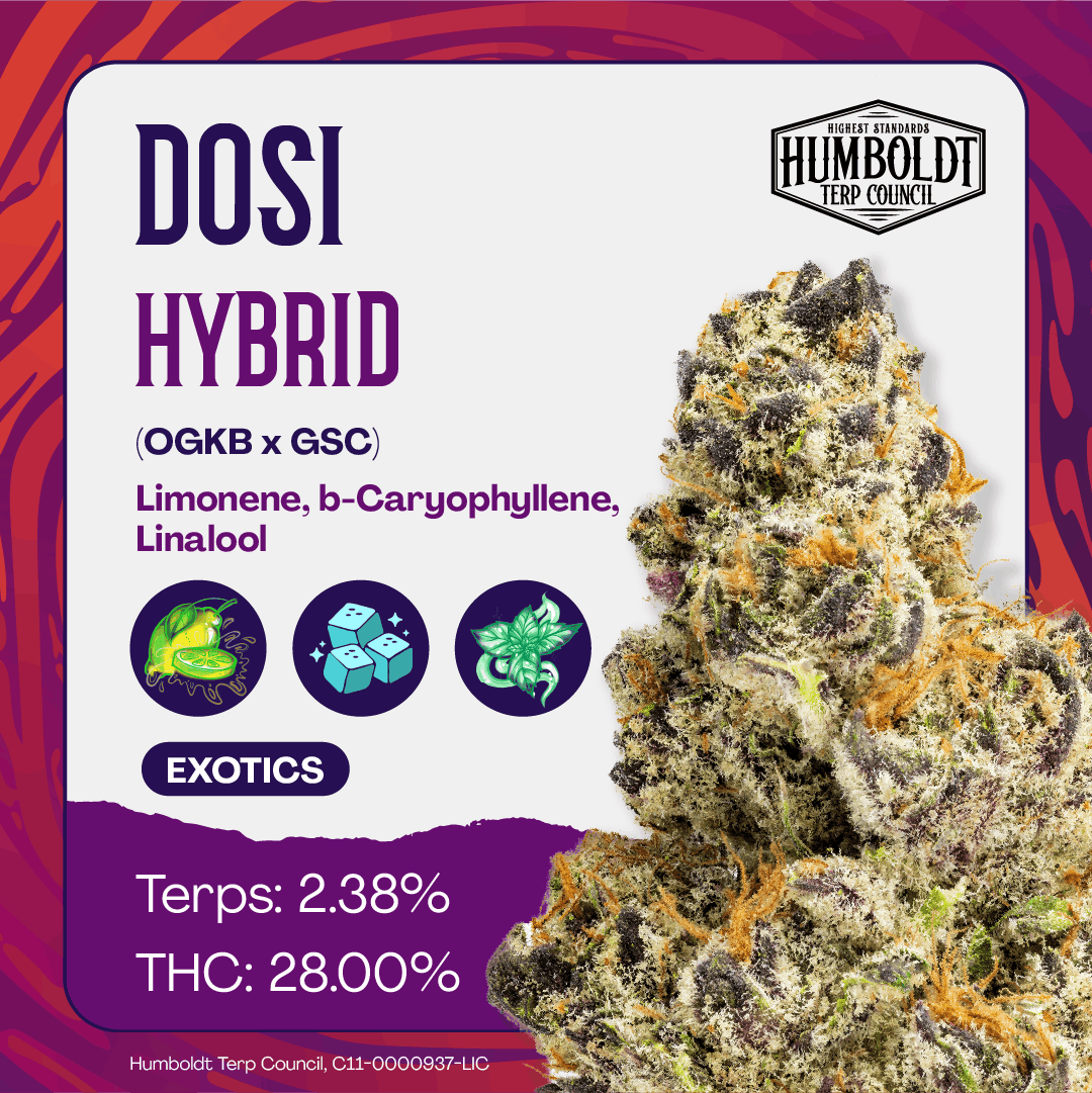 Humboldt Terp Council | Dosi 3.5g