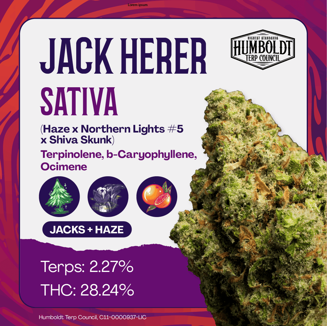 Humboldt Terp Council | Jack Herer 3.5g
