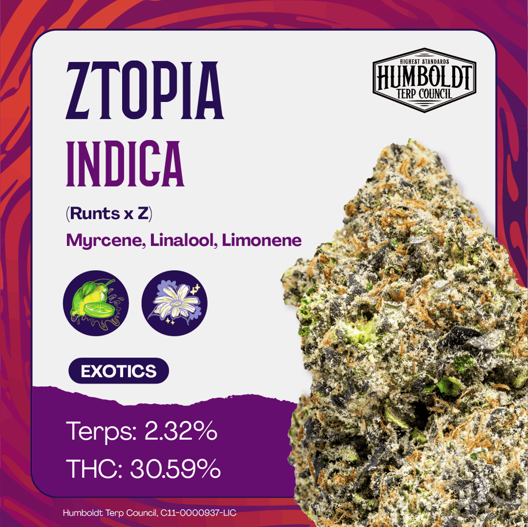 Humboldt Terp Council | Ztopia 3.5g