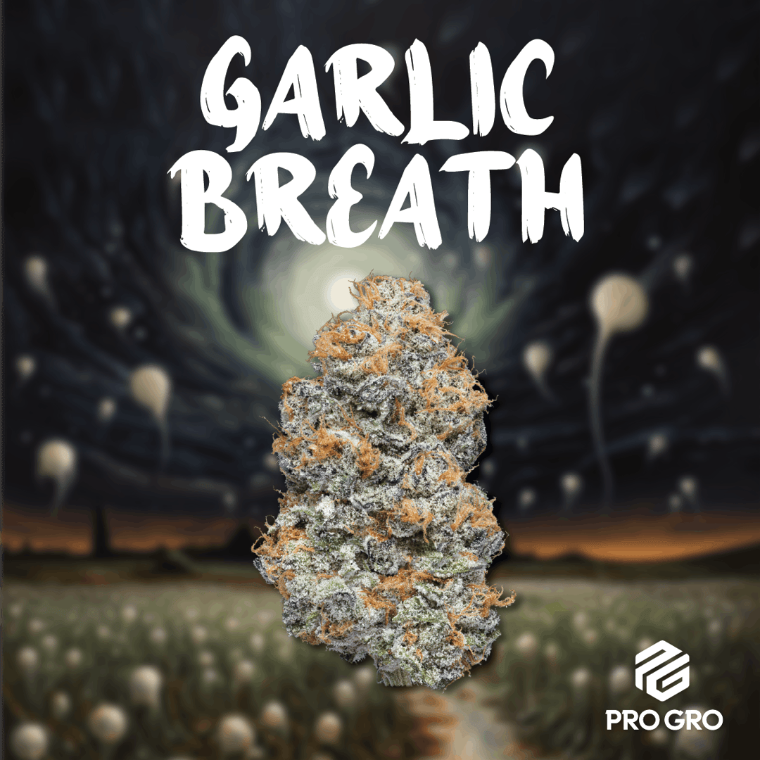 Garlic Breath