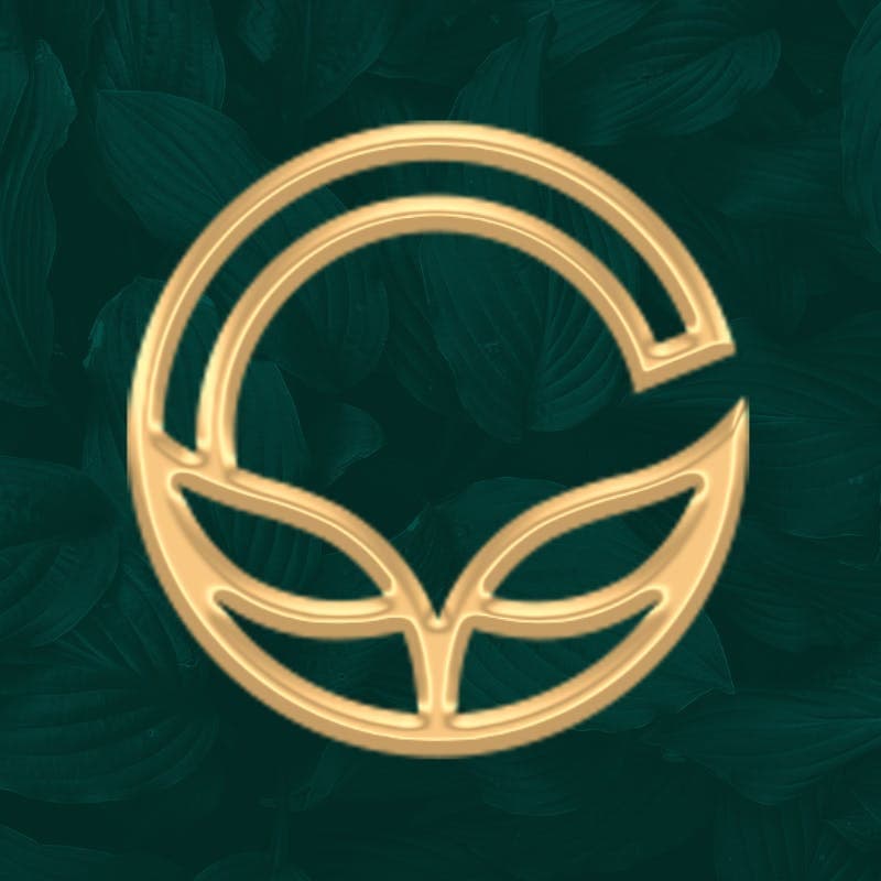 Cannavita logo