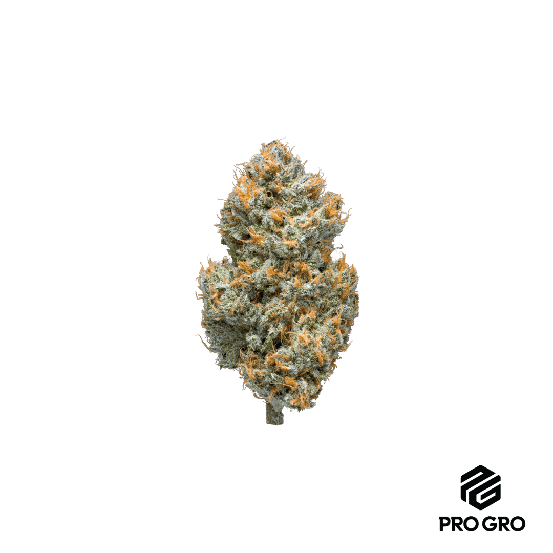 Crunch Berries