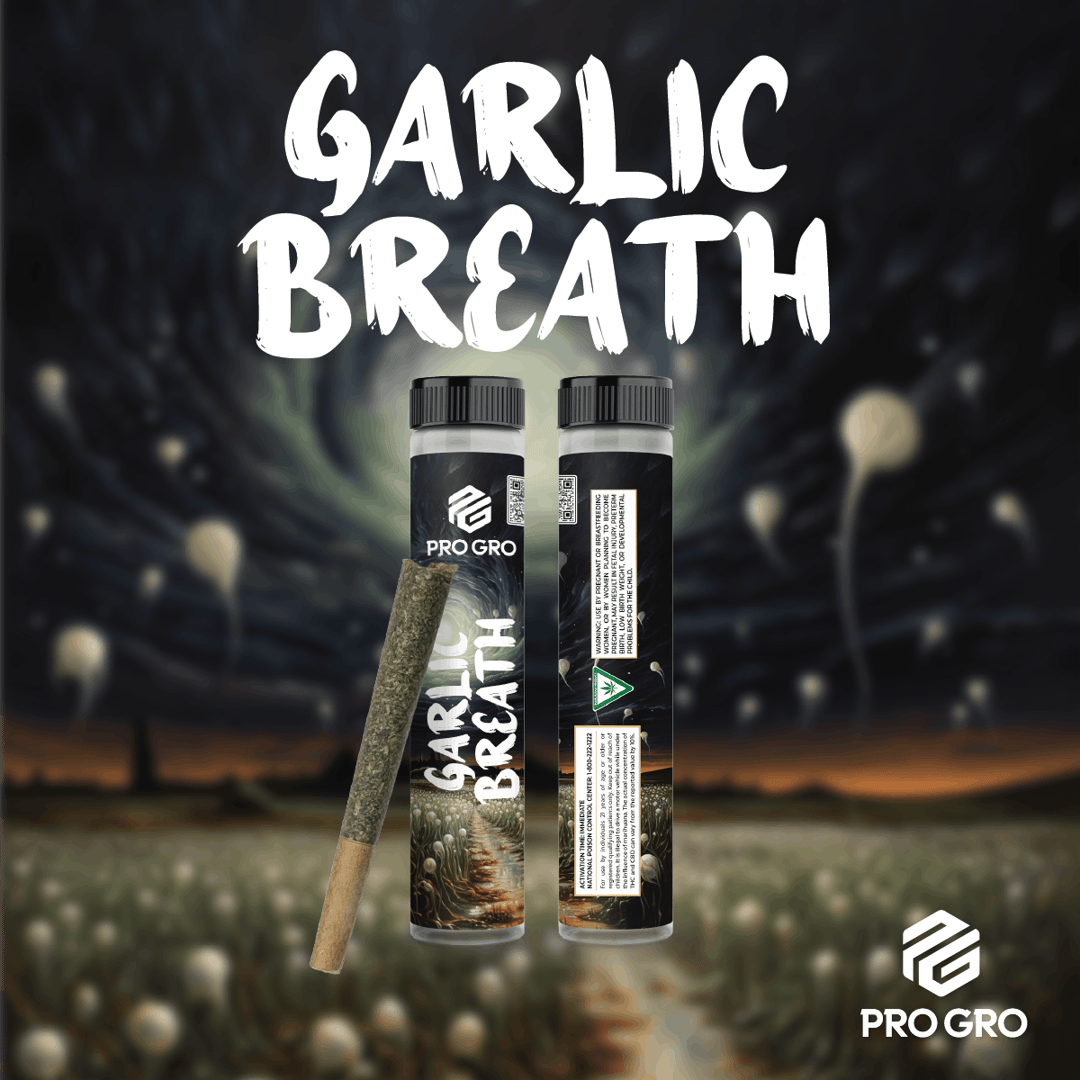 Garlic Breath Pre-Roll | 1g