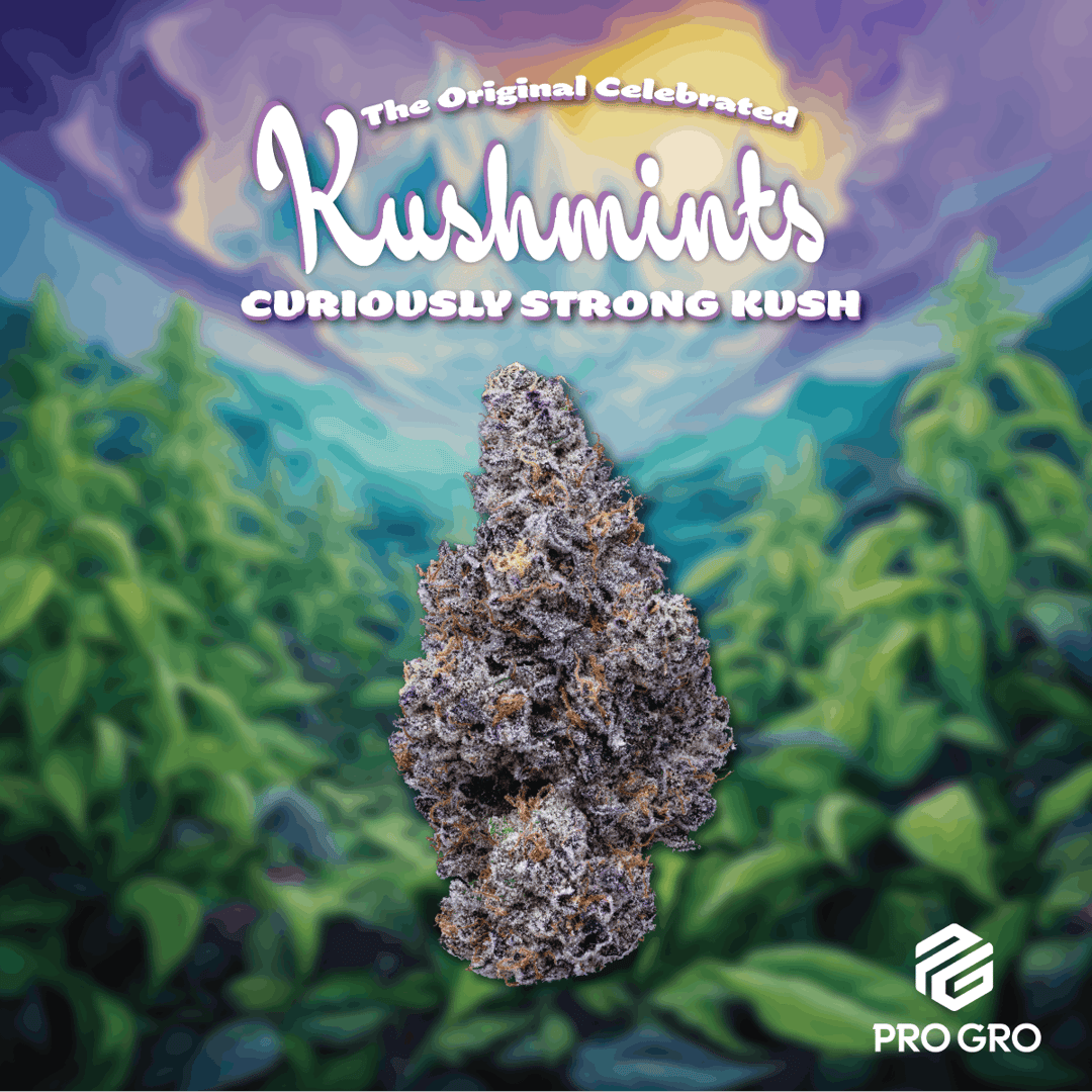 Kush Mints