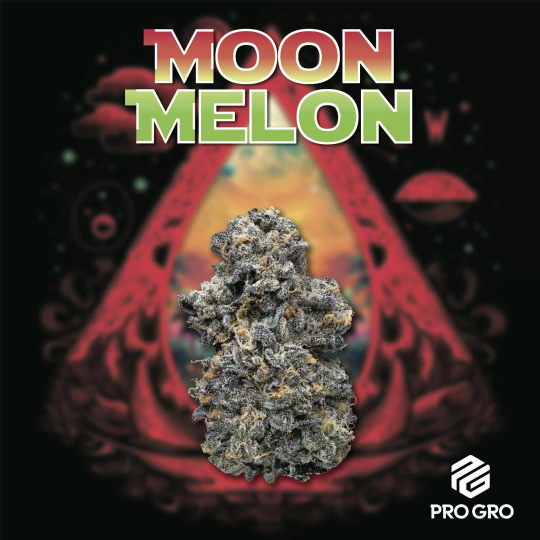 Moonmelon