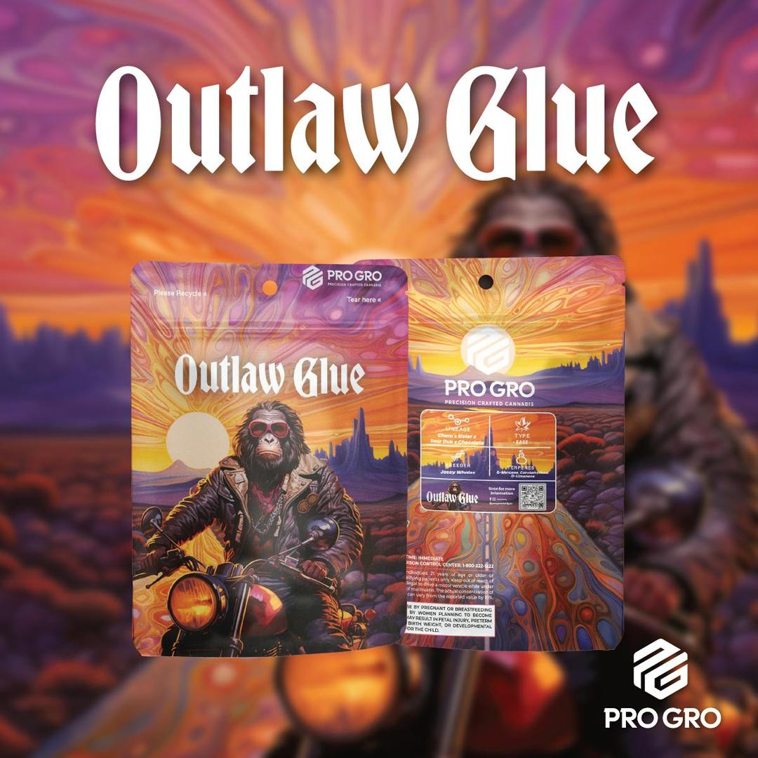 Outlaw Glue Pre-Pack | 3.5g