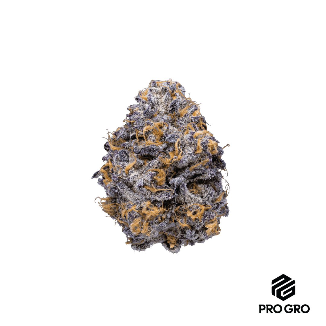 Pink Guava