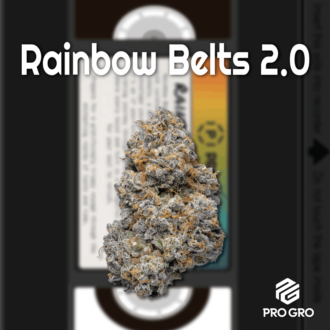 Rainbow Belts 2.0