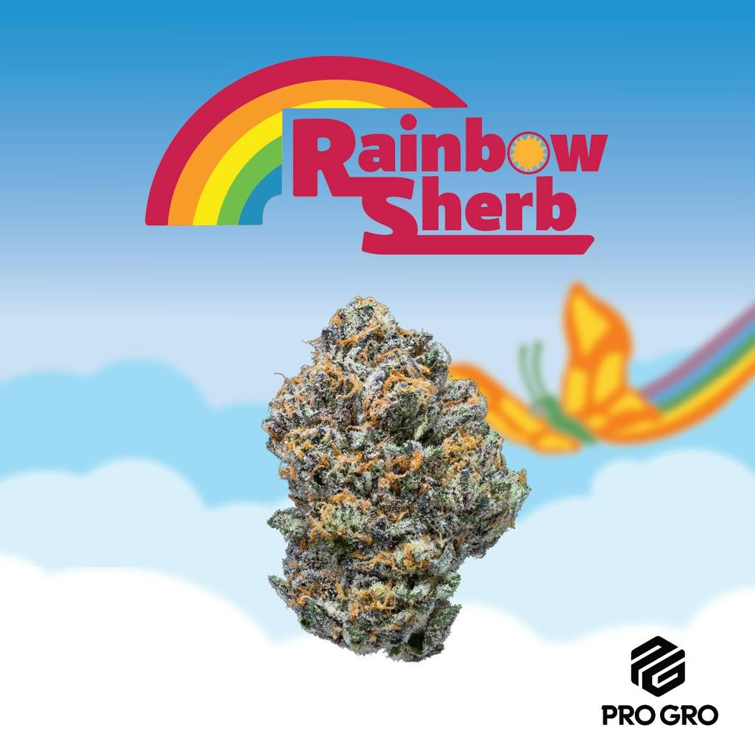 Rainbow Sherb