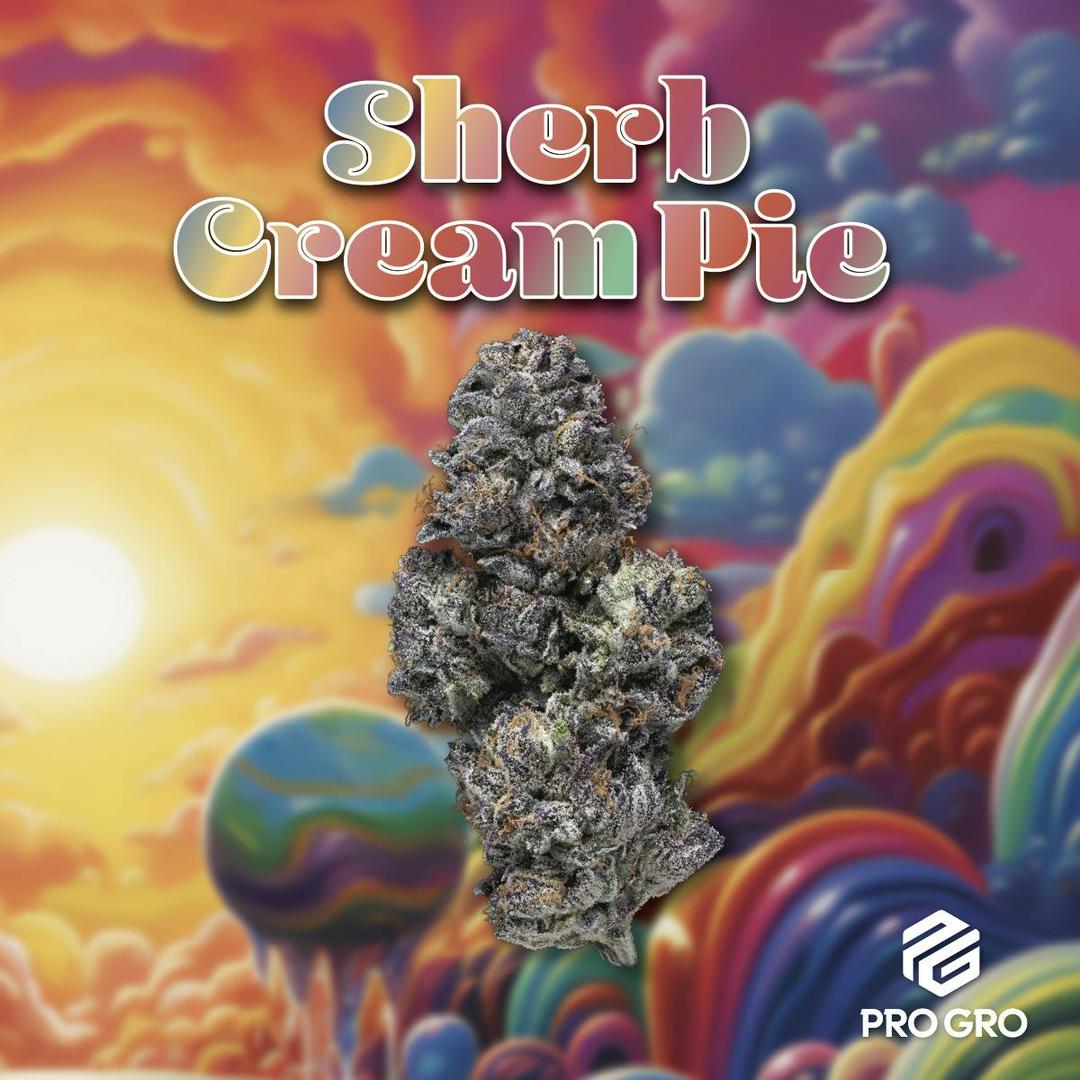 Sherb Cream Pie