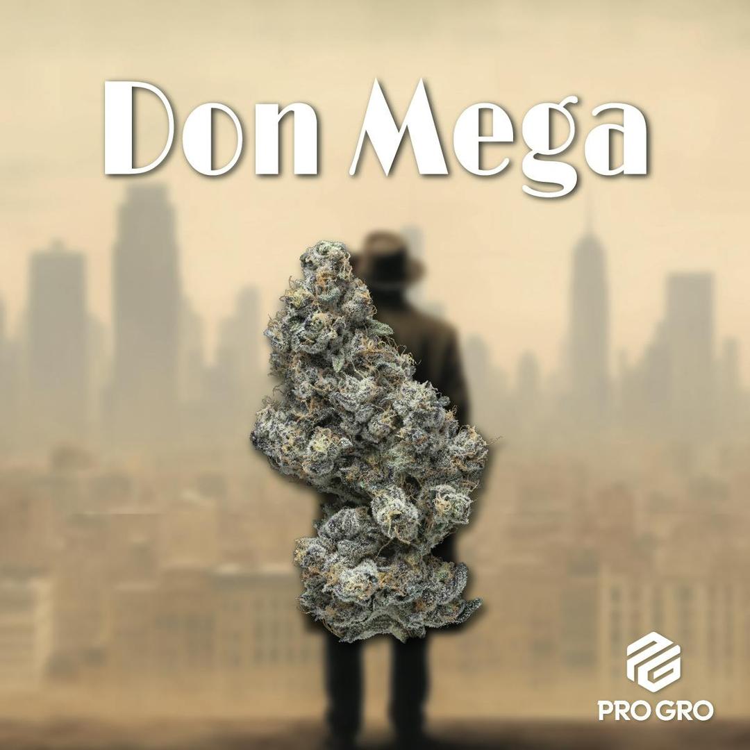 Don Mega