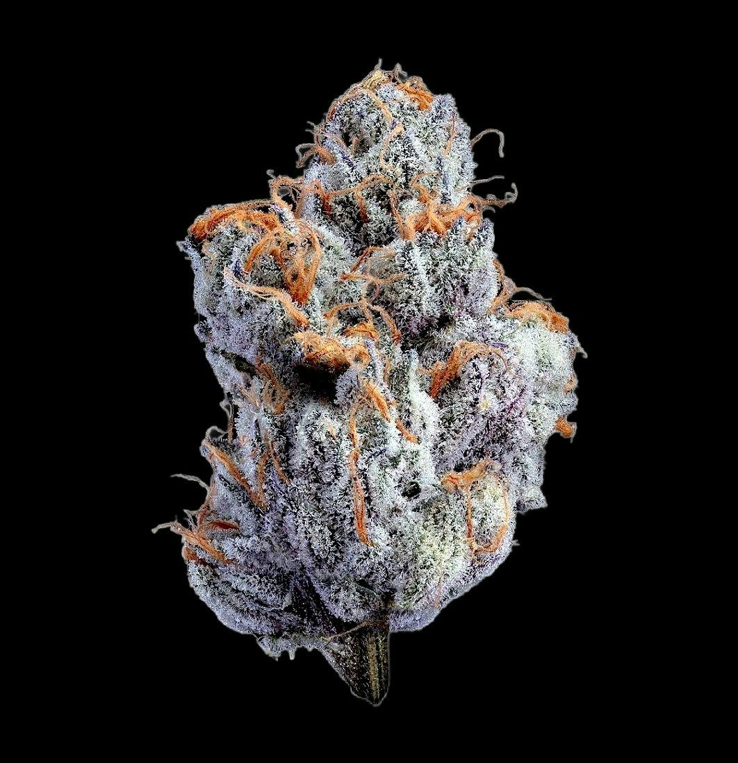 Premium Flower | Red Velvet Runtz