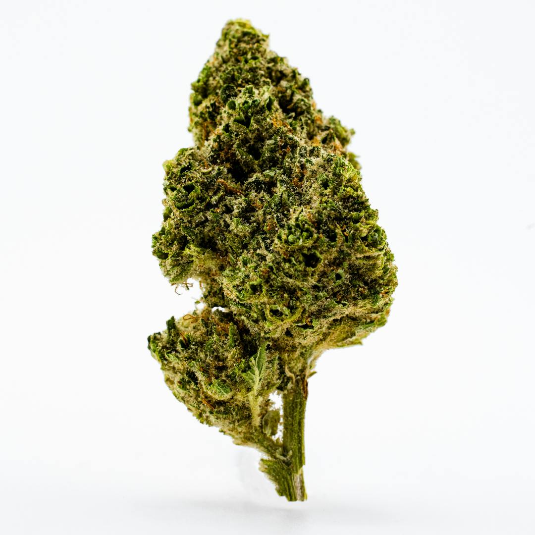 RANDY MARSH OUNCE