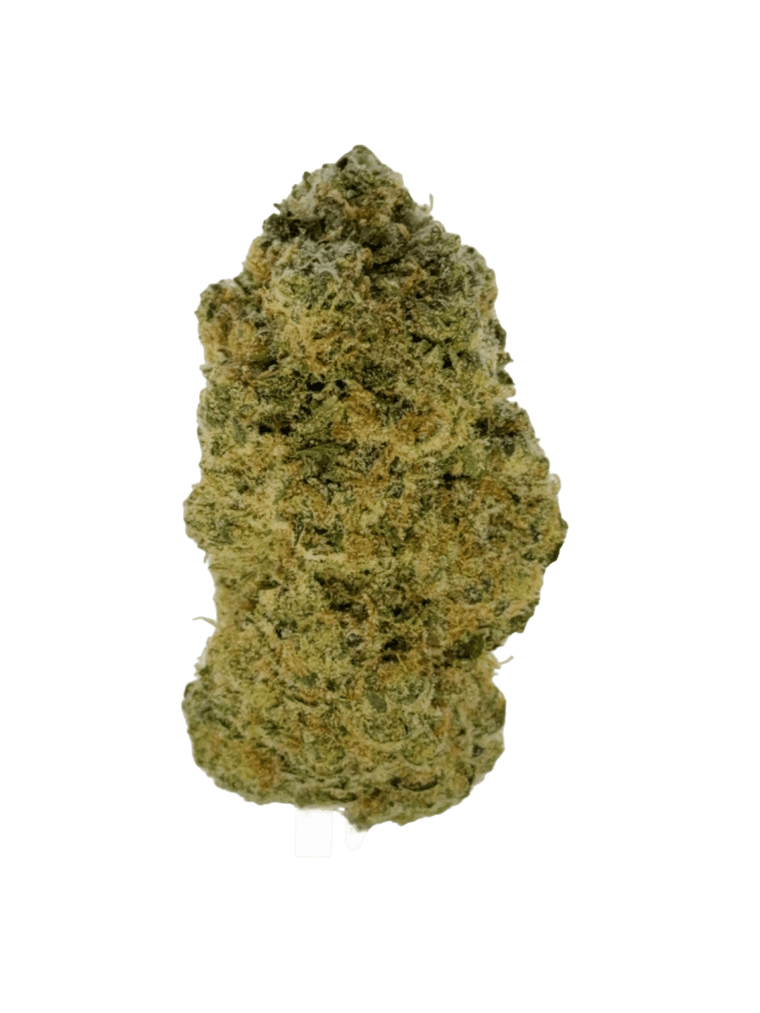 Banana OG - 3.5g Prepackaged Flower - Silver Therapeutics