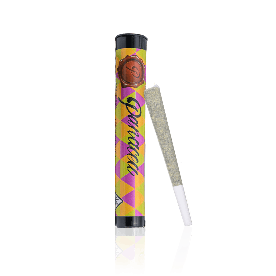 Cherry Runtz | Indoor Preroll | 1g