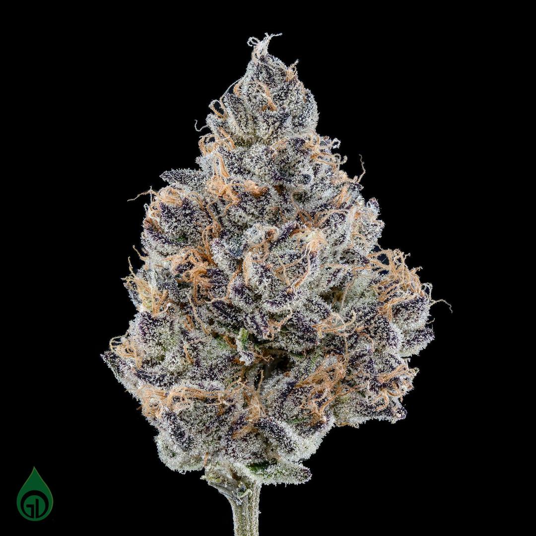 GDL Black Label Flower (14g) | Pürplē Frōōt