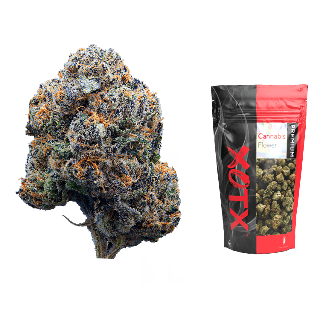 Black Lemon Cherry Gelato 14G