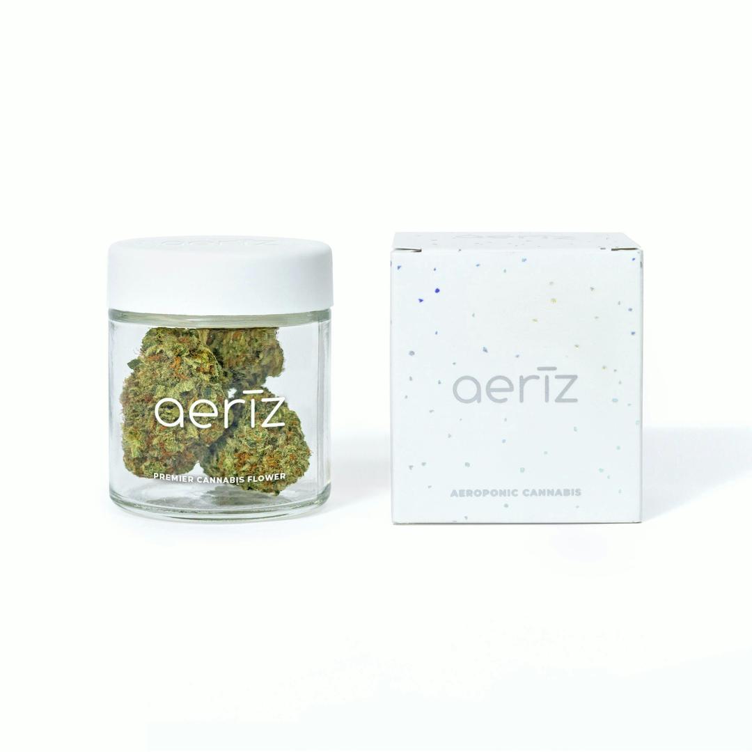 GMO Premier Flower