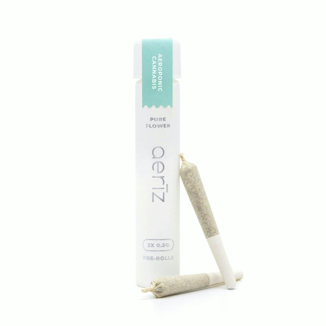Permanent Marker Pre-Roll Pack