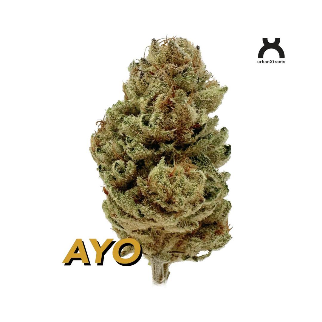 AYO - 3.5 G - Cannabis Flower