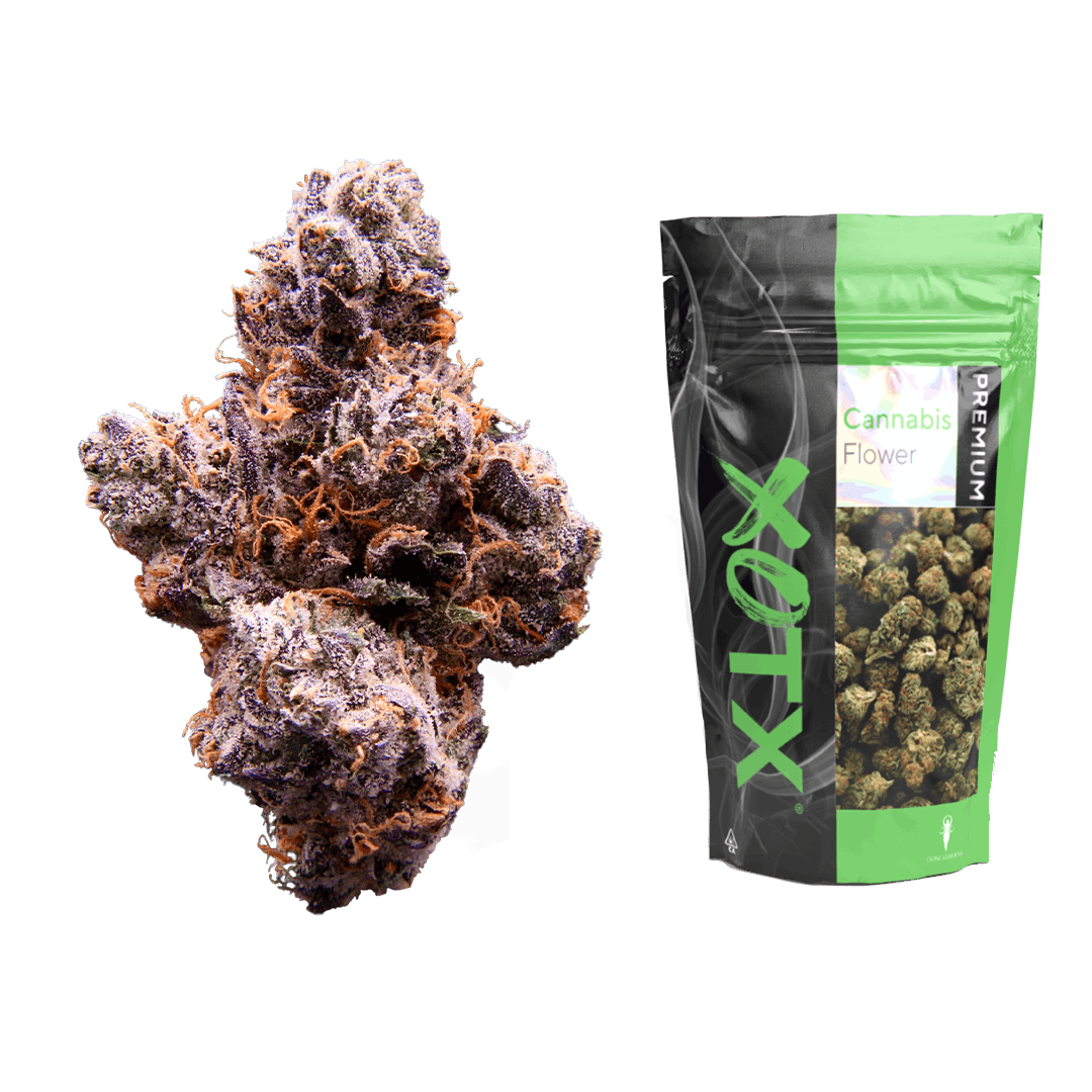 Gelato 33 28G