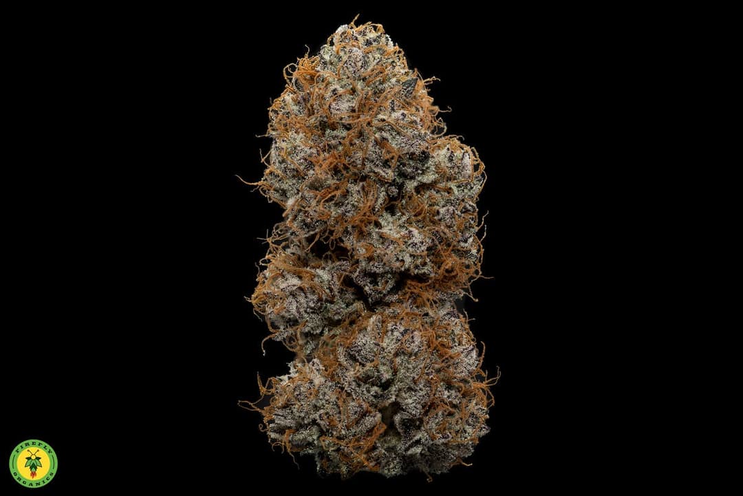 Triple Chocolate Chip