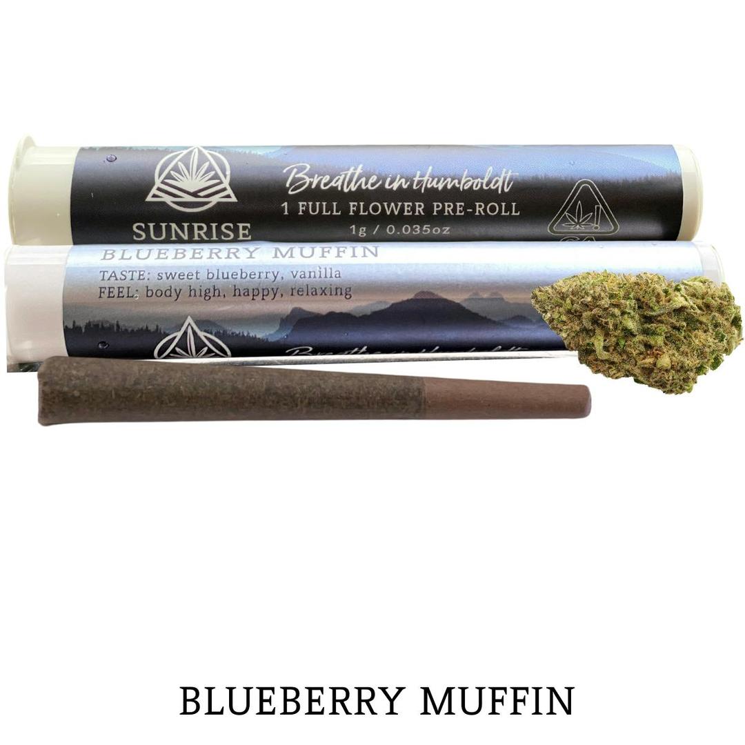 Blueberry Muffin 1g Preroll Single
