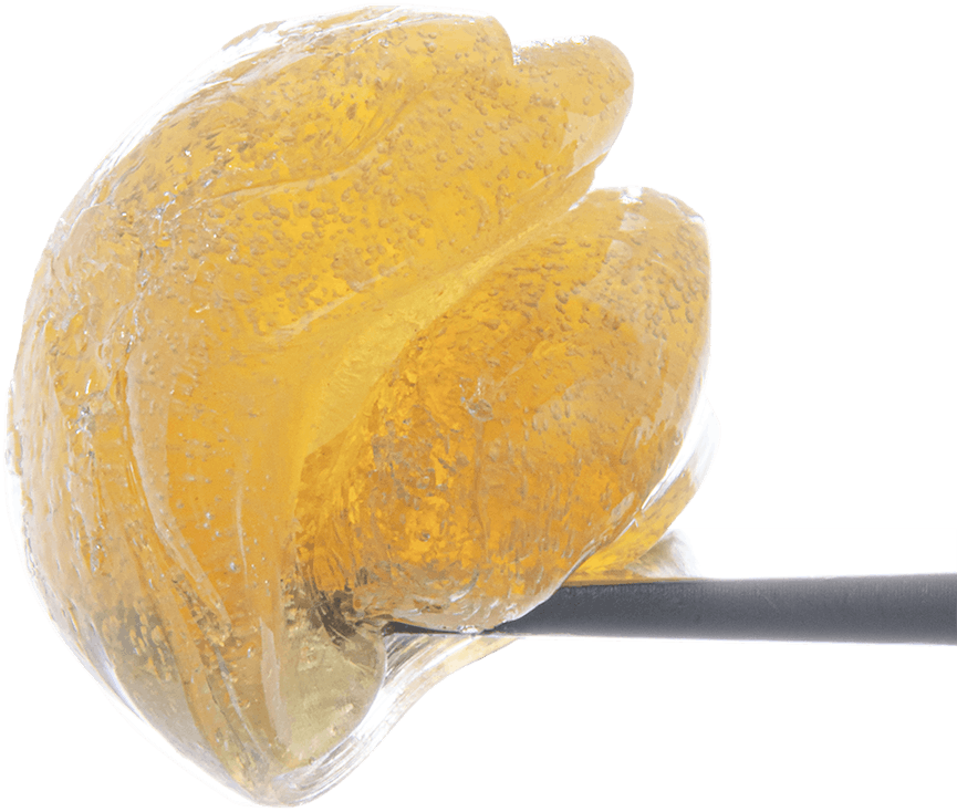 Grapes N Cream Live Rosin Fresh Press
