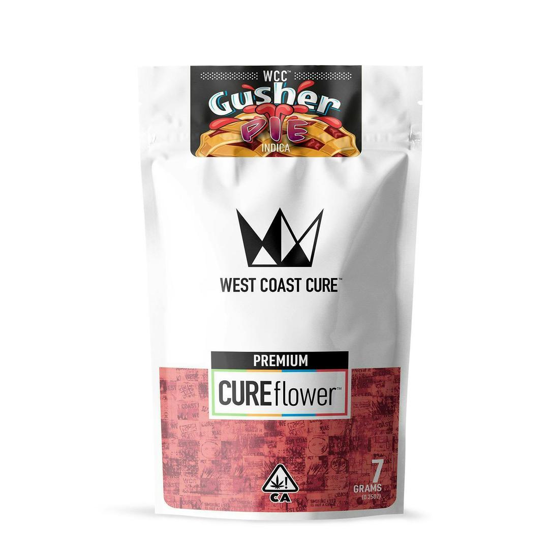 Gusher Pie - 7G Premium Flower